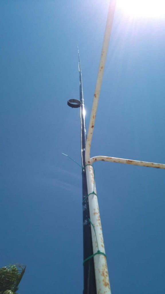 Antena T2LT vista